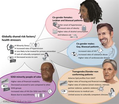 Frontiers LGBTQ cardiovascular health equity a brief review